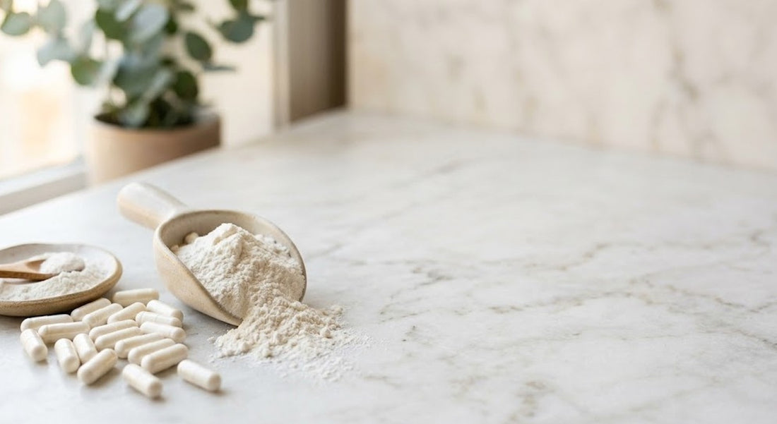 Creatina — guia 3VS Nutrition