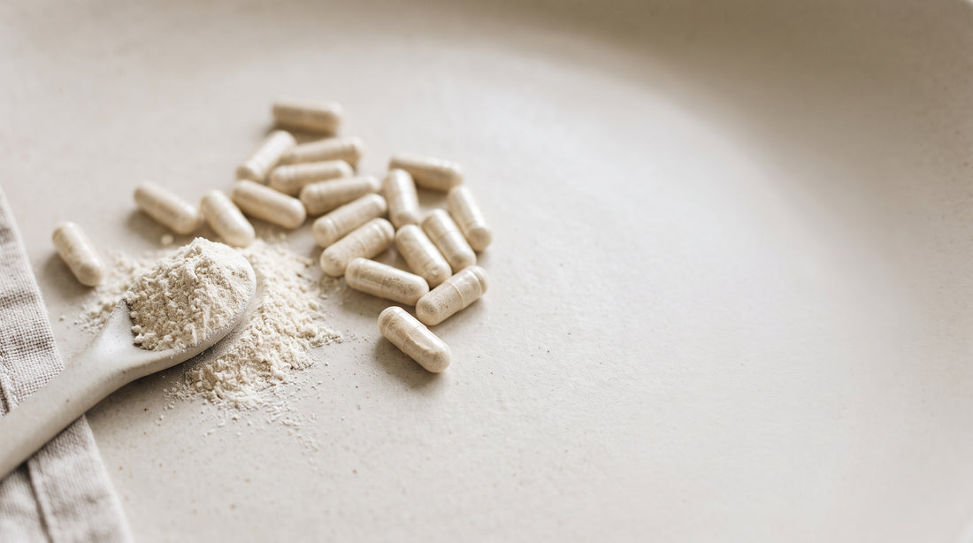 Creatina Monohidratada — guia 3VS Nutrition
