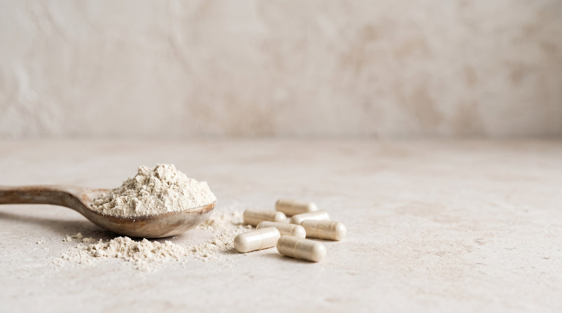 L-Carnitina — guia 3VS Nutrition