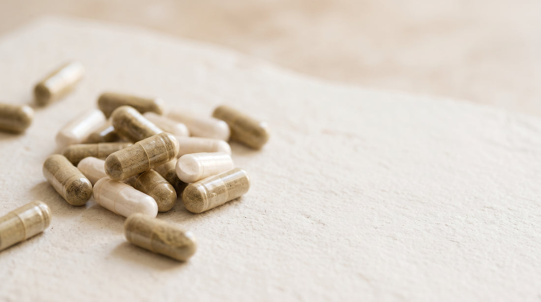 Feno-grego — guia 3VS Nutrition