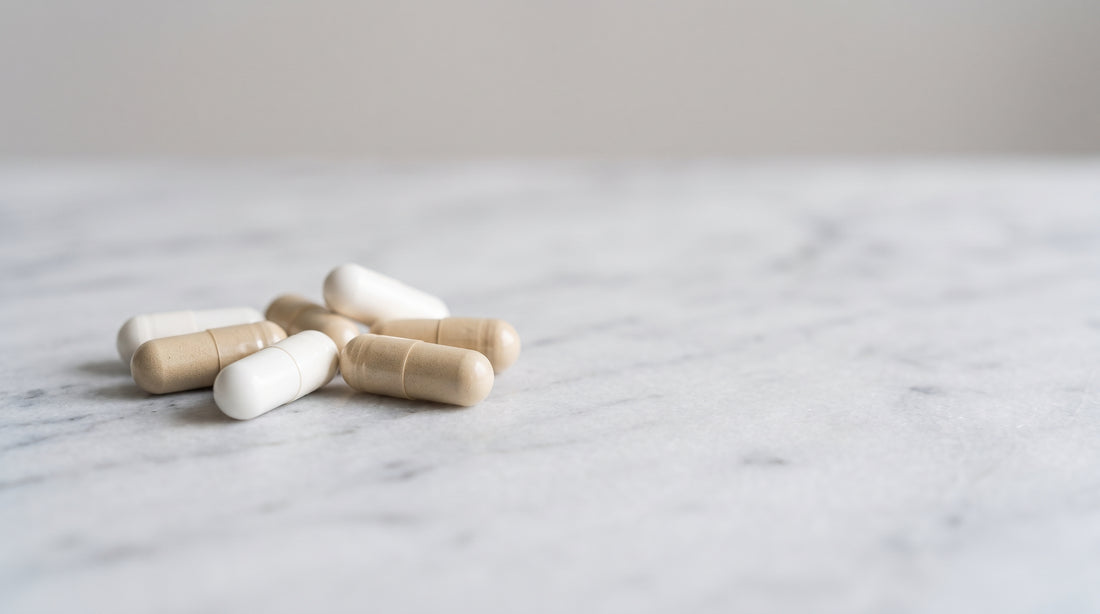 Vitamina B12 — guia 3VS Nutrition