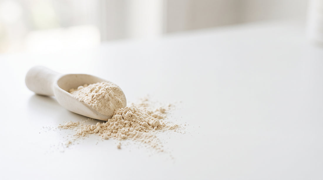 Quanto Custa um Whey Protein? Como Comparar Preço de Verdade — guia 3VS Nutrition